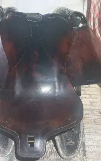لوازم سوار کاری و اسب شهرکرد
