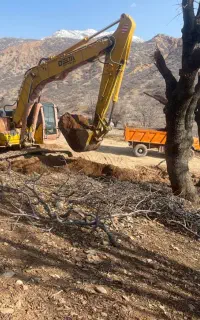 اجاره بیل مکانیکی زنجیری همراه پیکور