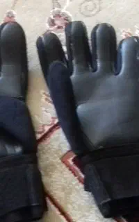 دست کش دوازبانی