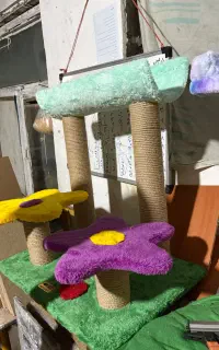 باکس گربه/ اسکرچر