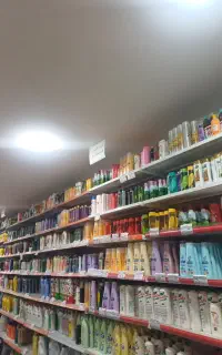 لایندار