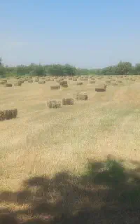 علف پرس شده سایز ۷۰ سانتی