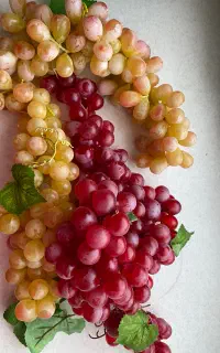 انگور تزئینی