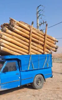 خرید و فروش چوب