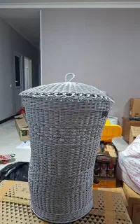 سبد لاندری