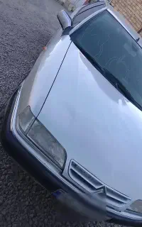 زانتیا ۸۱