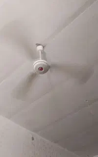 پنکه