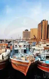 ترخیص کالا از خصب به بنادر ایران
