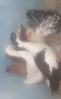فروش