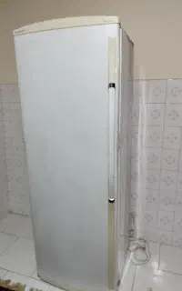 فریزر الکترو استیل