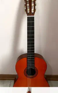 گیتار C40 اصل اندونزی