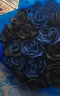 گل روبانی