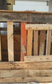 گنجه خروس لاری