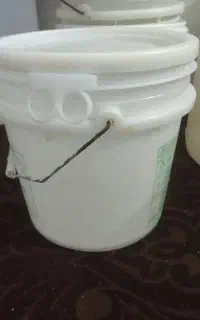 سطل