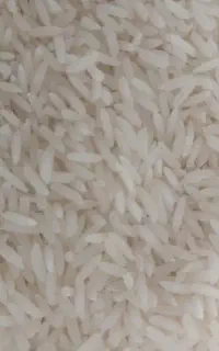 فروش برنج طارم