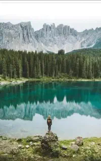طبیعت گردی و پیاده روی