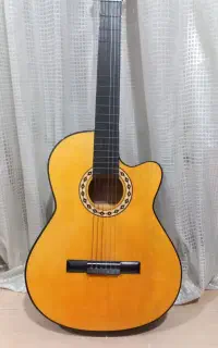 گیتار برای آموزش