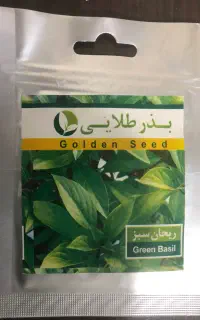 بذر گیاه صیفی سبزی عمده