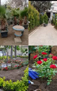 خدمات باغبانی کوددهی گلکاری هرس‌کاری باغچه کاری