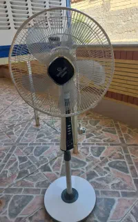 پنکه زمینی