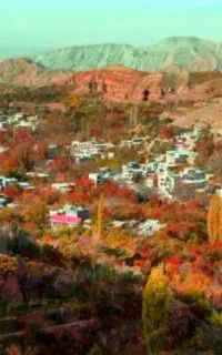 تور گردشگری لحظه آخر جمعه همین هفته