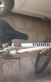 دوچرخه ۲۶