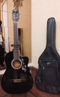 گیتار هافنر