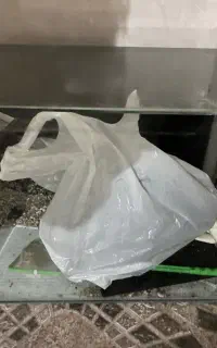 آکواریوم ماهی