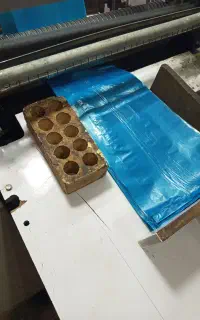 ظروف یکبار مصرف