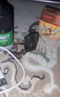 پاد سالم و نو همراه با جیس