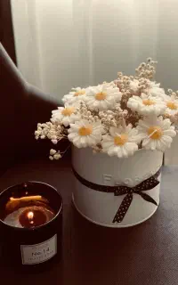 شمع