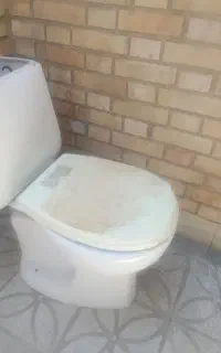 توالت فرنگی سالم. فوری