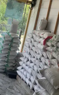 برنج هاشمی