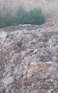 کود قارچ مناسب باغ