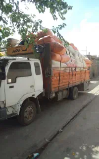 کاهدیمه گندم