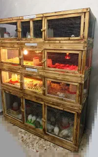 قفس لانه نراد چرخدار تور استیل گالوانیزه باسیم برق