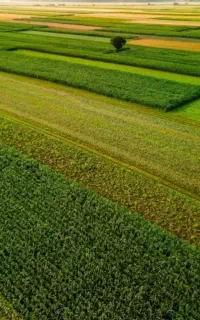 وکیل پرونده های املاک و اراضی.اختلاف ملکی
