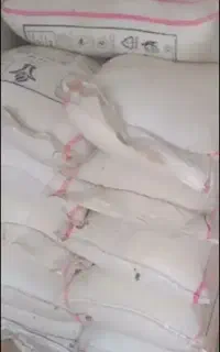 کودسفیداوره سفید