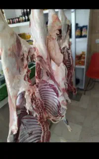 قصابی سیار گوسفند کاملآ شرعی بهداشتی