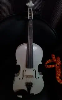 ویولن سفید و مشکی
