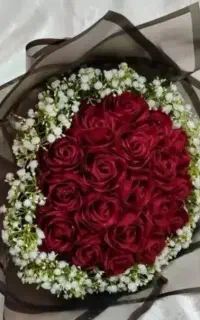 گل ربانی یاس