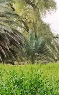 نیازمند کارگر ساده