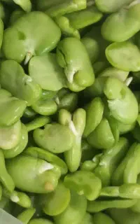 فروش محصولات خانگی