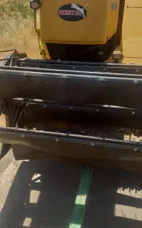 کمپاین چیتا