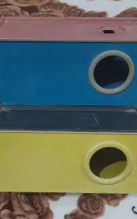 لونه پرنده مرغ عشق
