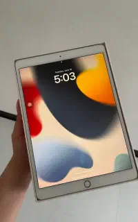 Ipad pro 2017/ آیپد پرو ۲۵۶