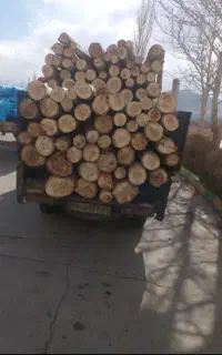 خریدانواع چوب تروخوشک
