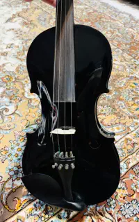 ویولن مشکی حرفه ای