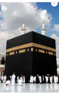 ۴ عدد فیش حج عمره