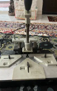 دم چلچله زن